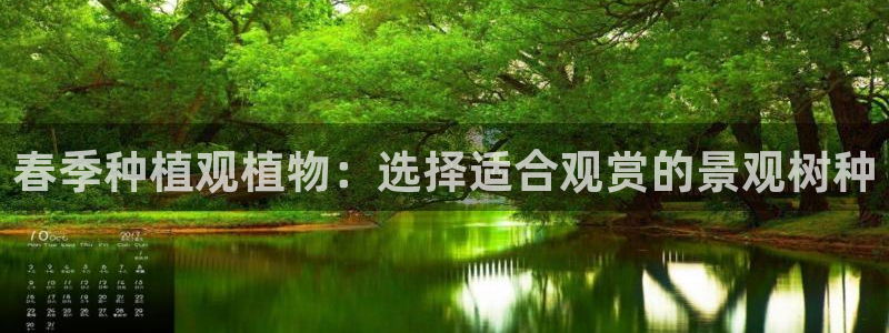 泉州摩根会娱乐会所地址