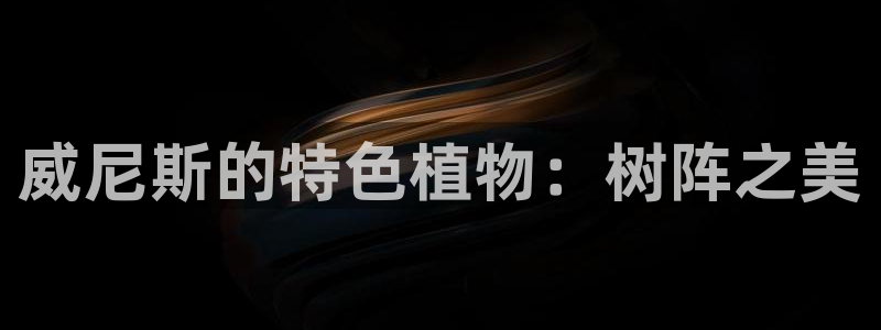 摩根娱乐dj