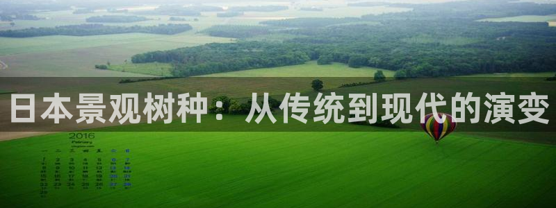 摩根娱乐宝骗局