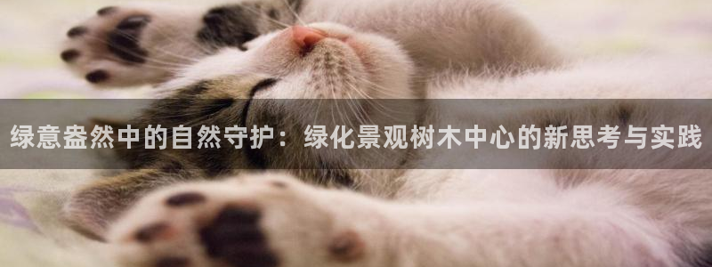 摩根娱乐黑台
