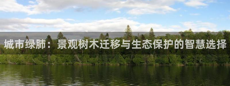 摩根娱乐 股s东50015