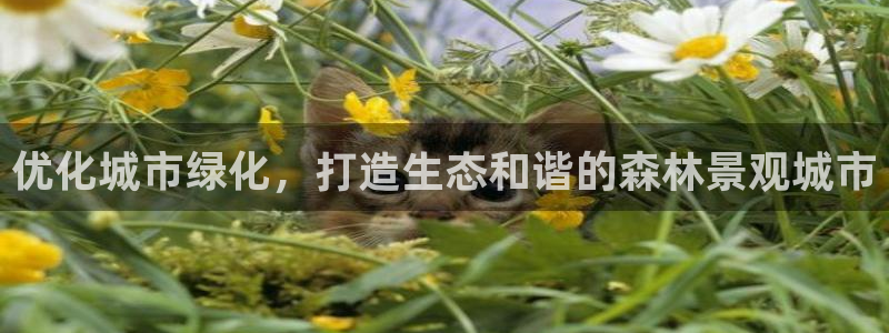 义乌摩根国际娱乐会所