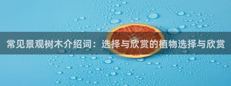 临平摩根娱乐会所电话