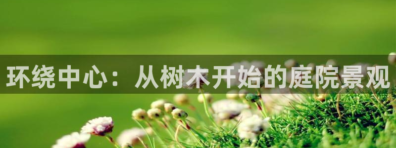 摩根国际娱乐宝官网下载