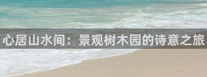 摩根娱乐宝打不开