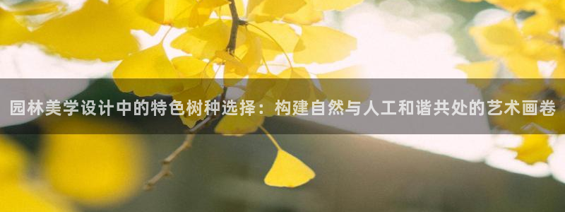 摩根娱乐50186叩杨