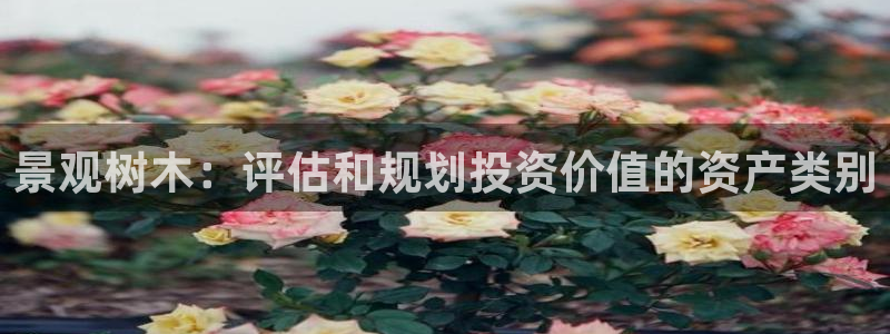 摩根娱乐宝正规吗：景观树木：评估和规划投资价值的资产类别