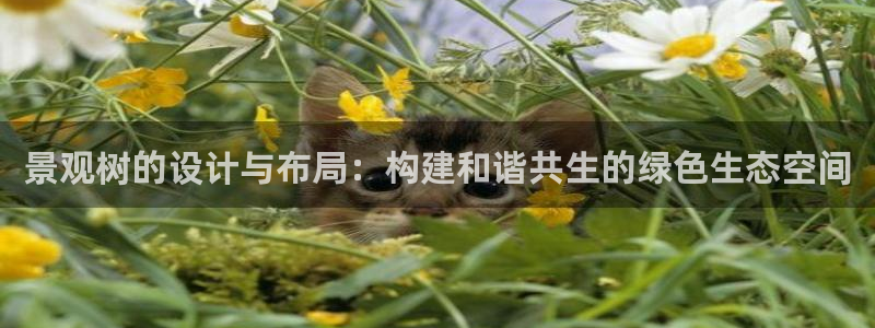 摩根娱乐宝官网百度