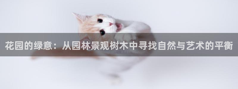 义乌摩根娱乐会所