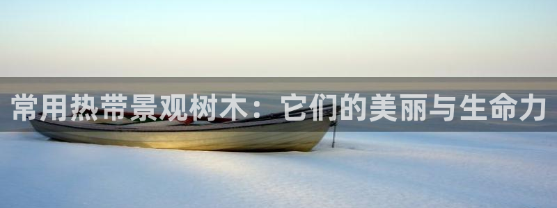 摩根娱乐宝登陆网址