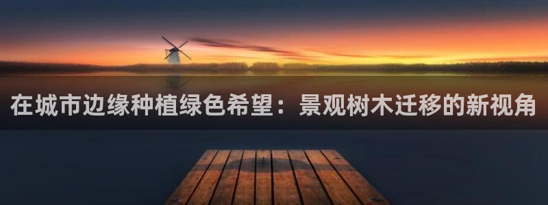 摩根娱乐宝收益怎么样