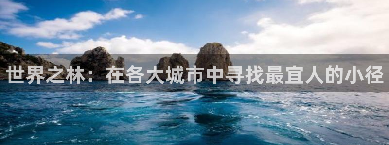 娱乐解说摩根