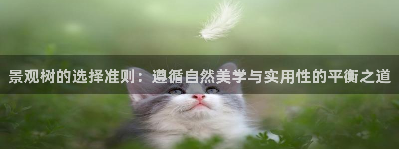 泉州摩根娱乐会所电话多少