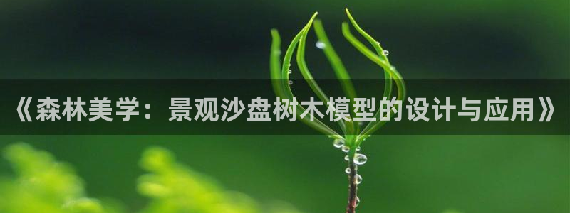摩根娱乐50186联系