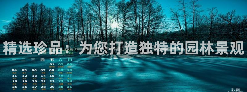 华视娱乐 摩根 王琛