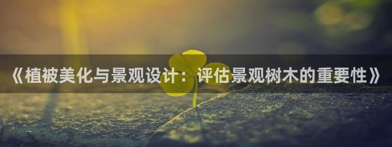 摩根娱乐¤股s东50015：《植被美化与景观设计：评估景观树木的重要性》