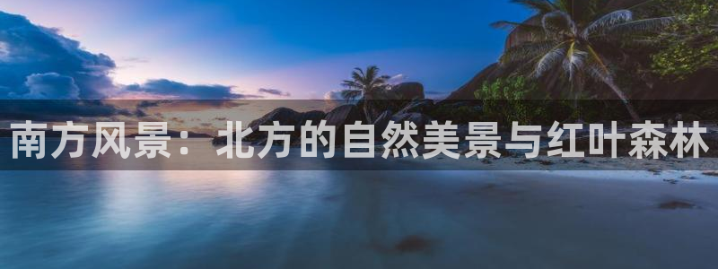 摩根娱乐