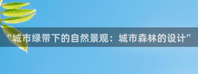 摩根娱乐金光