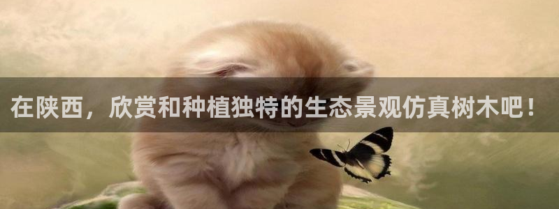 摩根娱乐挂机项目是什么：在陕西，欣赏和种植独特的生态景观仿真树木吧！