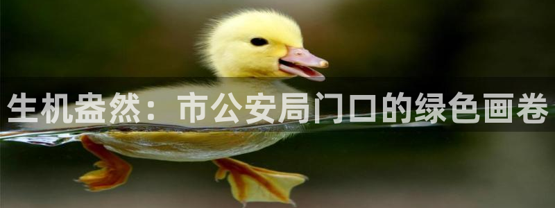 摩根娱乐宝怎么盈利