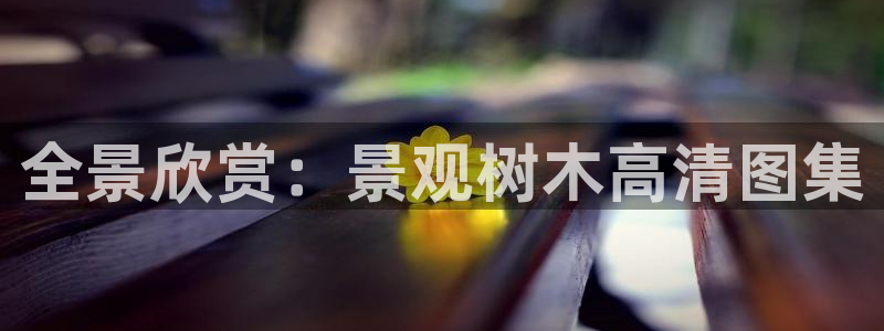 摩根娱乐50186联系