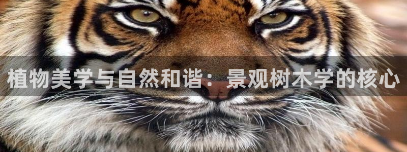 摩根国际娱乐宝合法吗：植物美学与自然和谐：景观树木学的核心