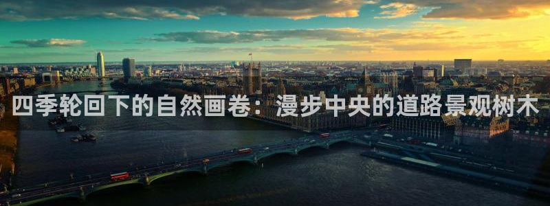 摩根国际 亚太 娱乐宝