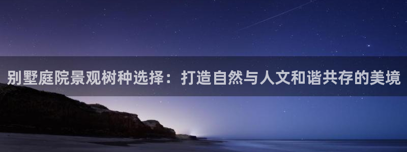 华视娱乐 摩根 王琛