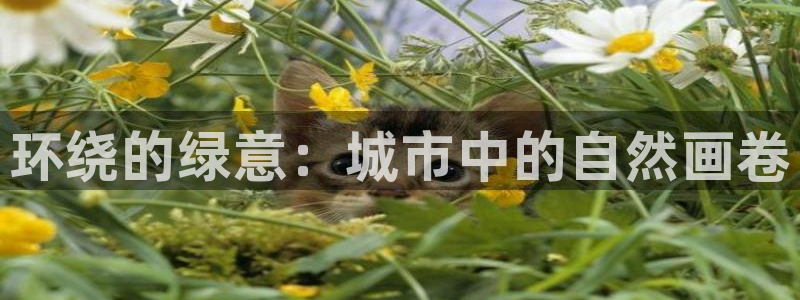 摩根娱乐宝APP下载