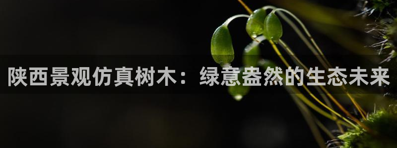 摩根娱乐会所门头