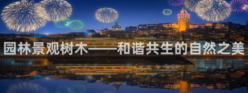 摩根360休闲娱乐