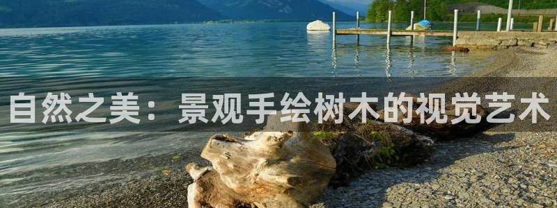 芜湖摩根一百有哪些娱乐