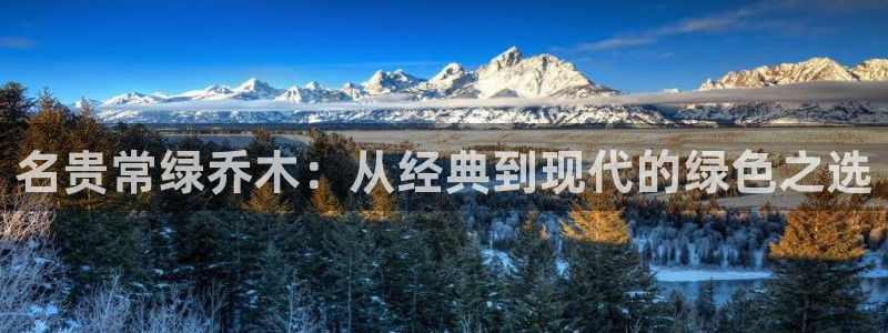 摩根娱乐宝平台下载