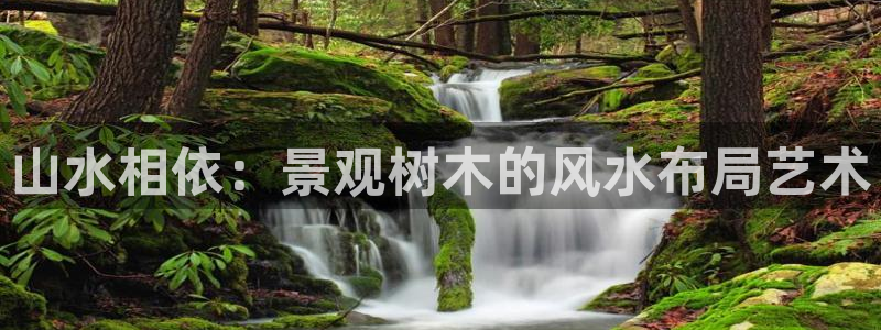 摩根娱乐 F招D商98732：山水相依：景观树木的风水布局艺术