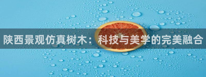 摩根娱乐宝机构代码