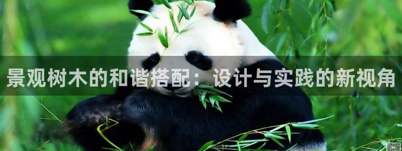 摩根娱乐身生个女孩吧