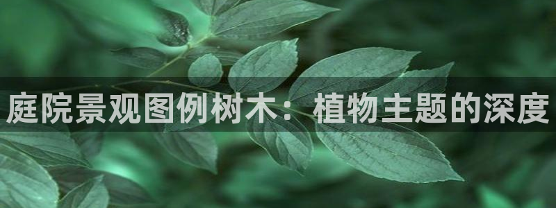 摩根娱乐总部在哪里