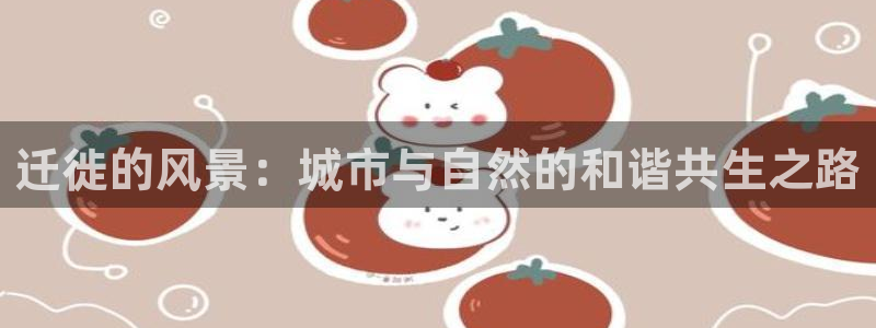 泉州摩根会娱乐