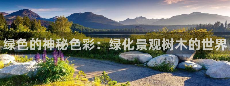 娱乐解说摩根：绿色的神秘色彩：绿化景观树木的世界