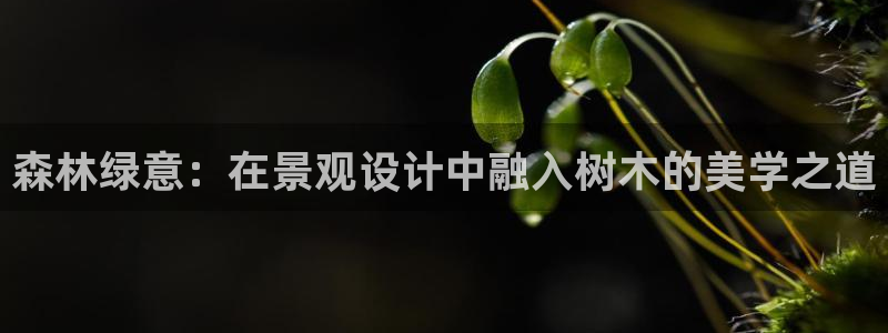 下载摩根娱乐宝