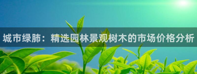 摩根大通会员买金沙娱乐