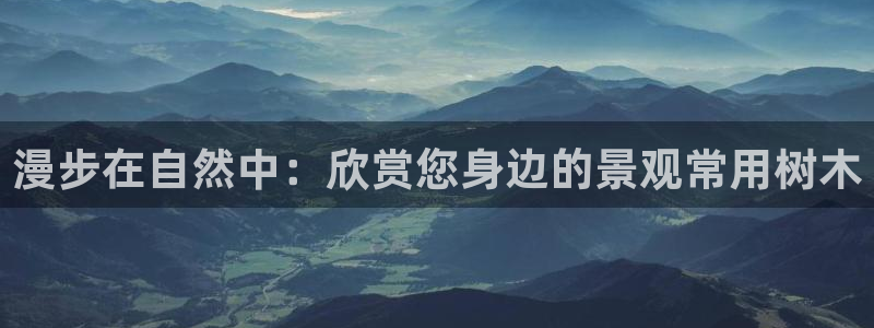 摩根娱乐宝是什么意思