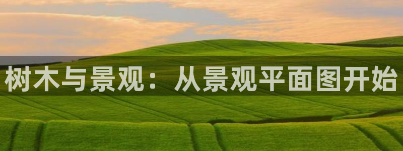 摩根大通黄金娱乐目标价