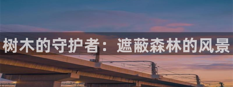 摩根大通黄金娱乐：树木的守护者：遮蔽森林的风景