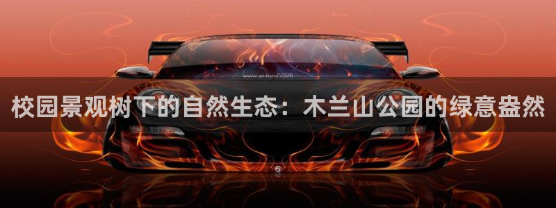 摩根合约娱乐宝：校园景观树下的自然生态：木兰山公园的绿意盎然