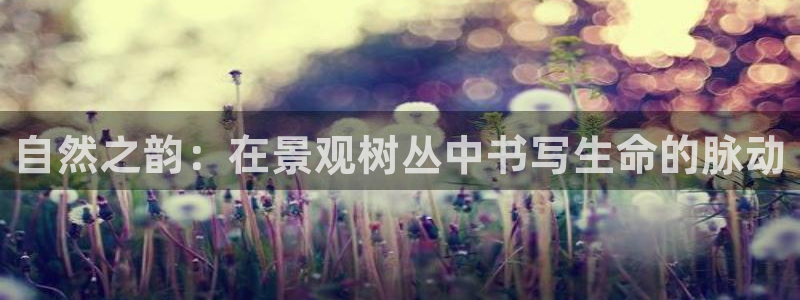 摩根娱乐二三事
