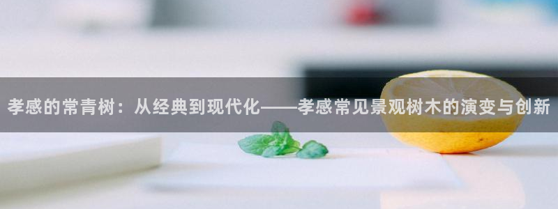 摩根娱乐宝收益怎么样
