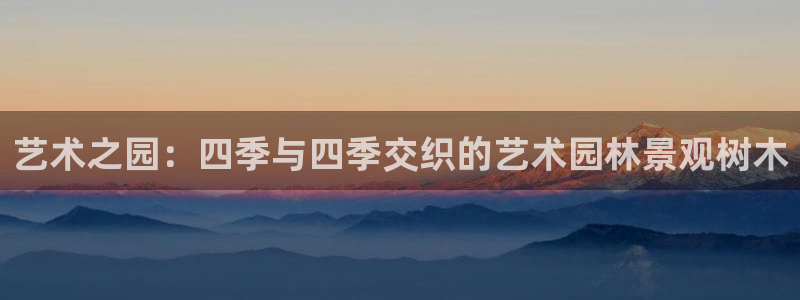 摩根娱乐会所