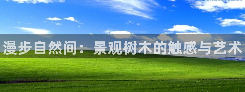 摩根娱乐部