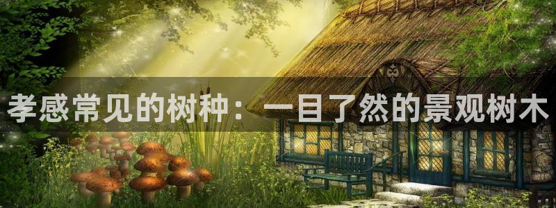 香港摩根娱乐宝